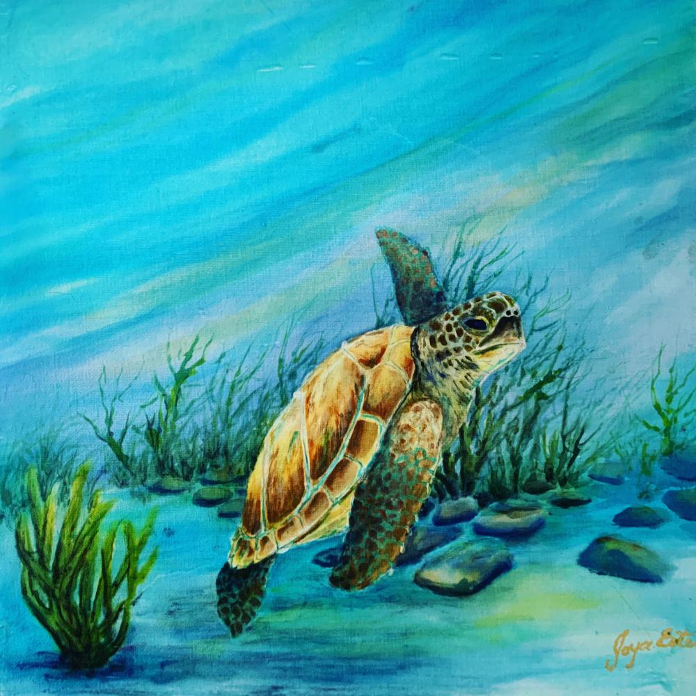 Happy Turtle 