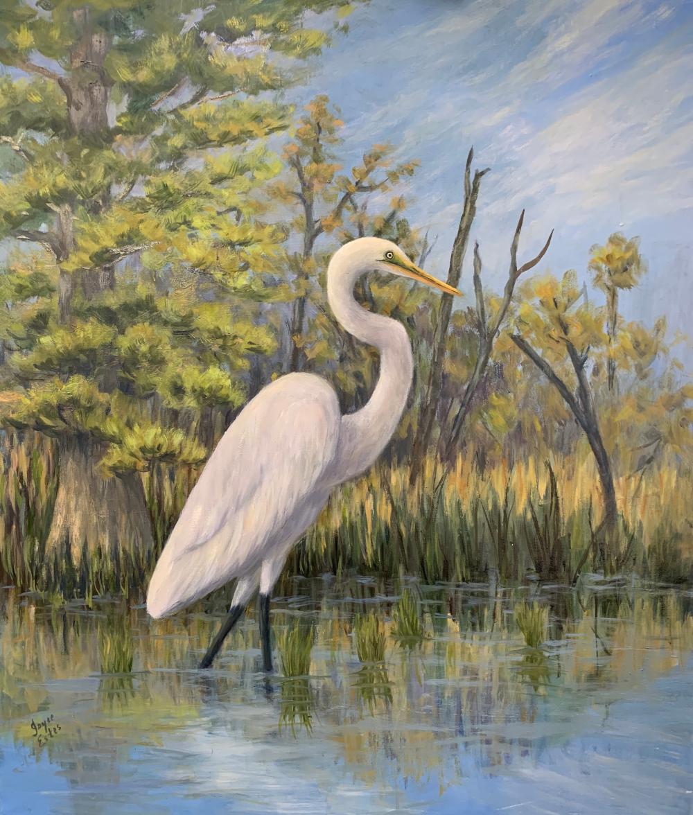 Great White Egret